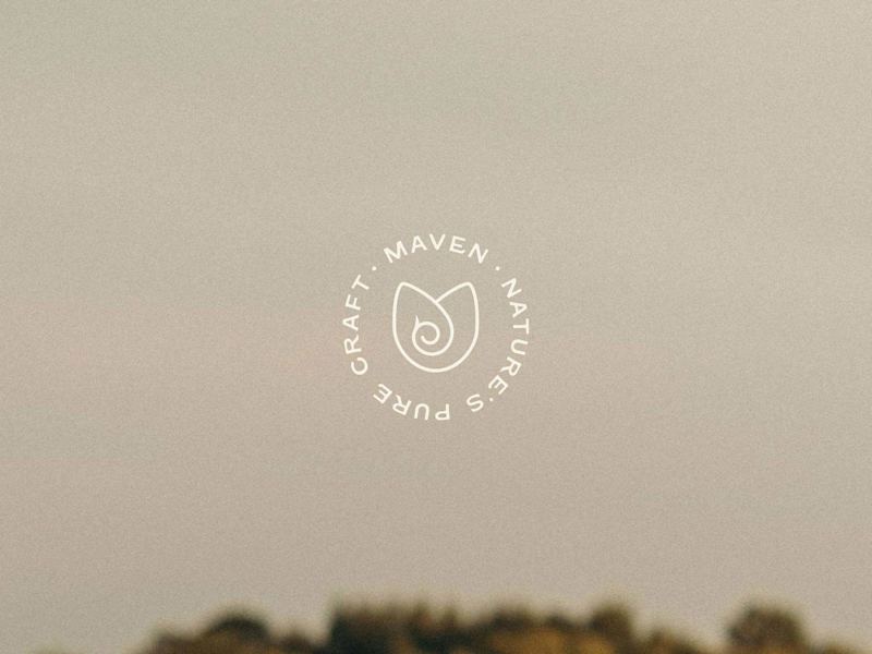 Cover image for Maven - Visual Identity Design
