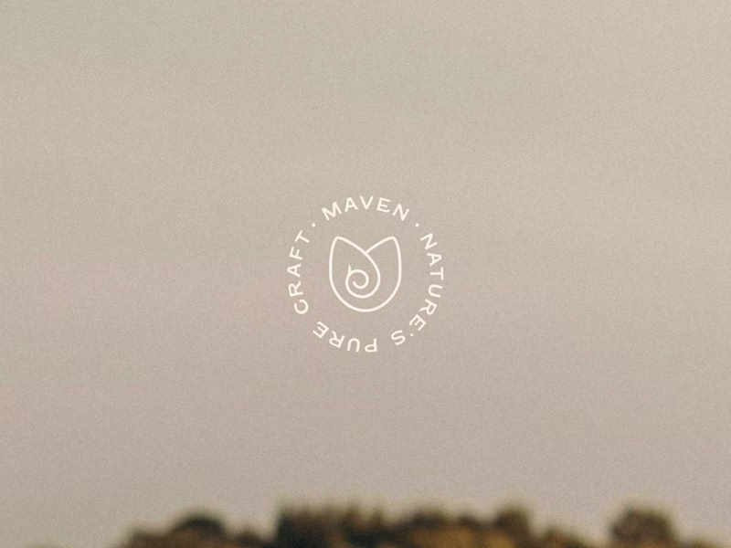 Cover image for Maven - Visual Identity Design