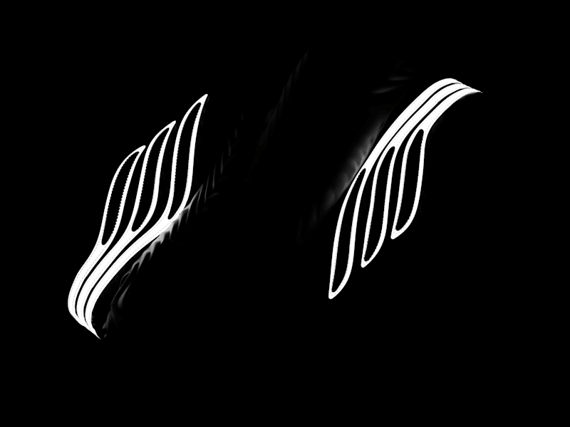 Cover image for Adidas Sobakov