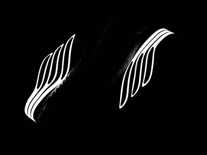 Cover image for Adidas Sobakov