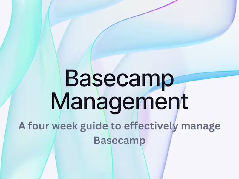 Cover image for Project Management Services