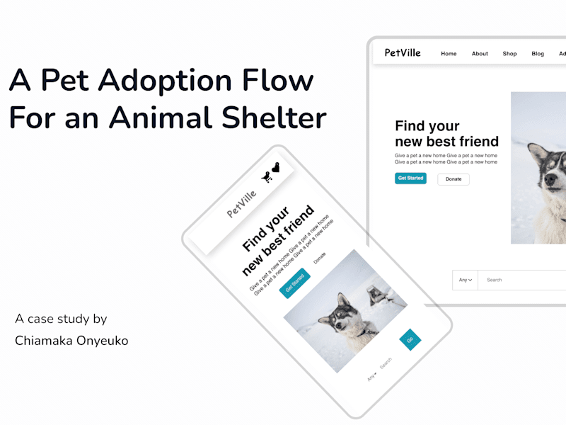 Cover image for A Pet Adoption Flow For an Animal Shelter (PetVille)
