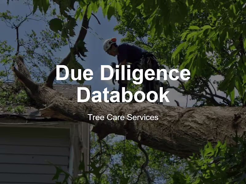 Cover image for Acquisition Due Diligence Databook