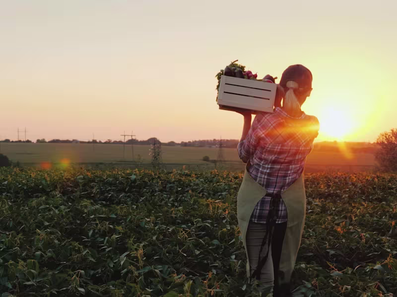 Cover image for ABLE ECOSYSTEMS