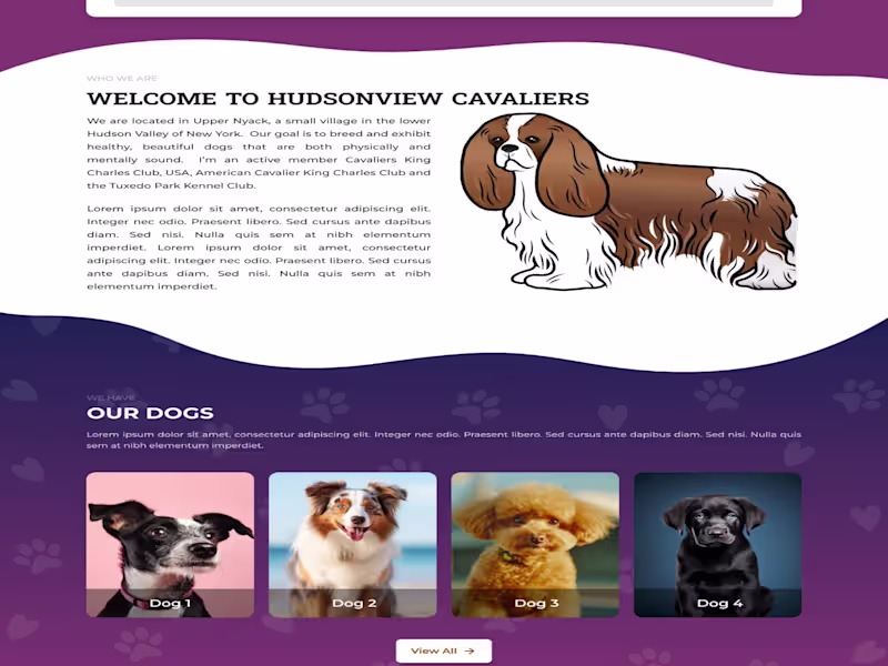 Cover image for Landing Page Design for pet