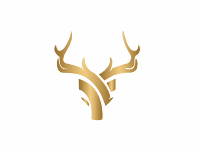 Cover image for Professional Logo Designer