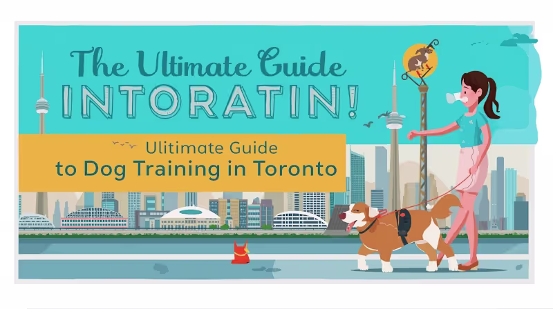 Cover image for Expert Freelance Services Available in Toronto