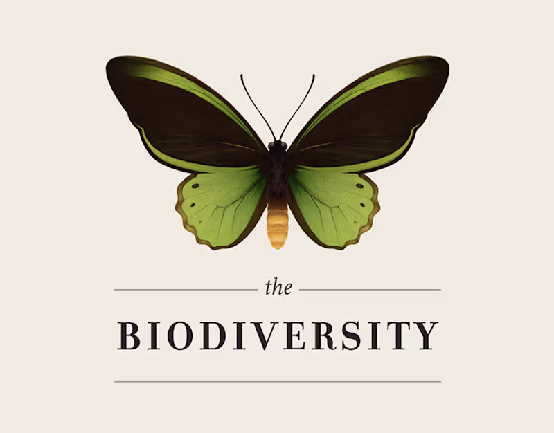 Cover image for The Biodiversity | Infographic :: Behance