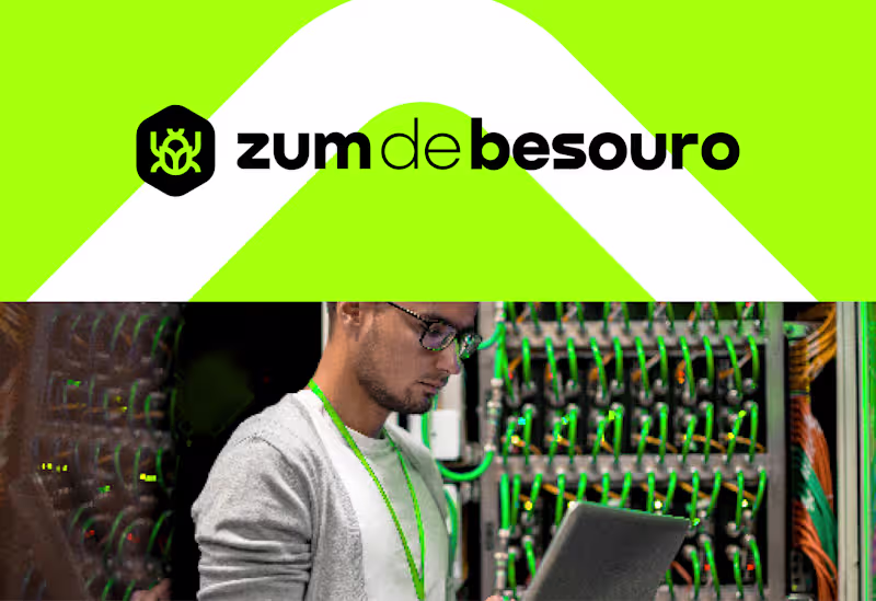 Cover image for Zum de Besouro