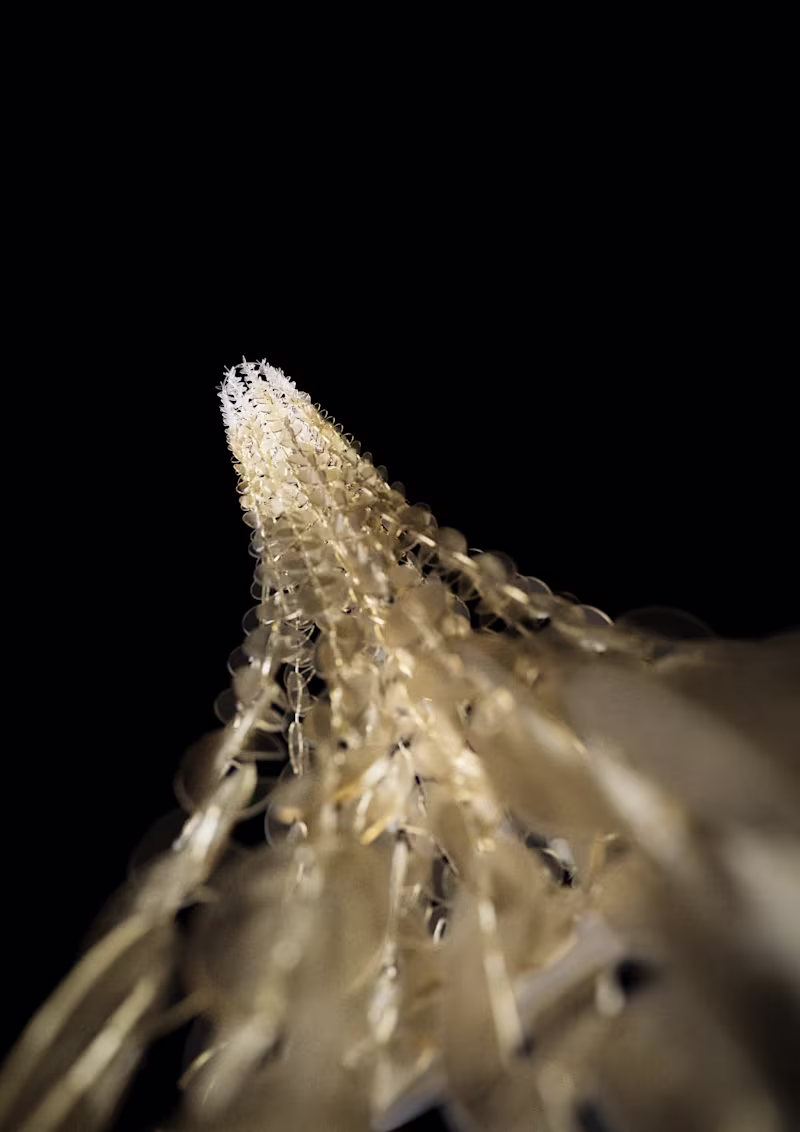 Cover image for 3D Renders for Interior Design and Architectural Visualization