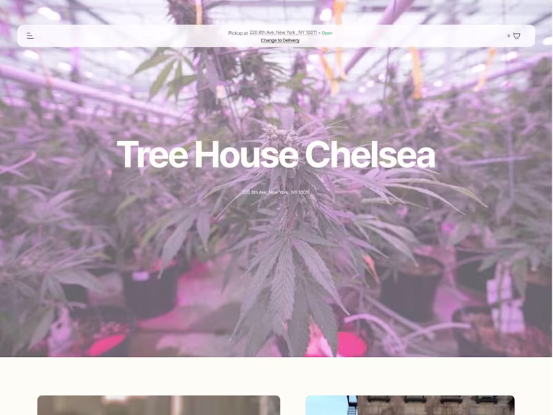 Cover image for Cannabis store Landing Page 