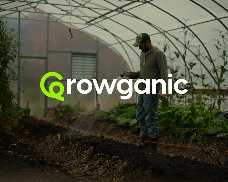 Cover image for Growganic Brand Identity Design
