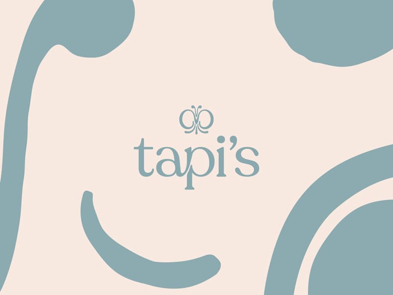Cover image for Tapi's Branding and Visual Identity Design