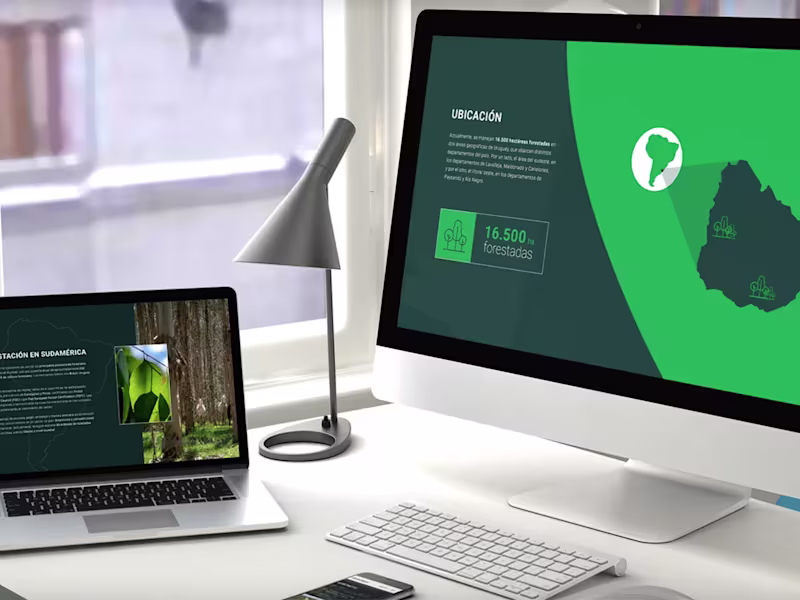 Cover image for Web design in HTML or WordPress