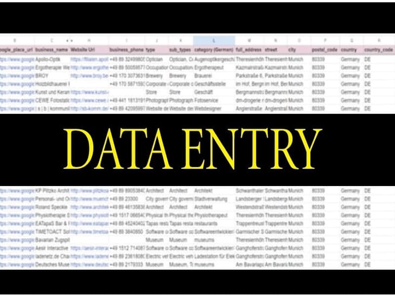 Cover image for I will be your accurate data entry,web research and convert file