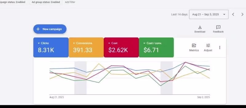 Cover image for Google Ads Campaign Results — Last 14 Days (Aug 21 – Sep 3, ...