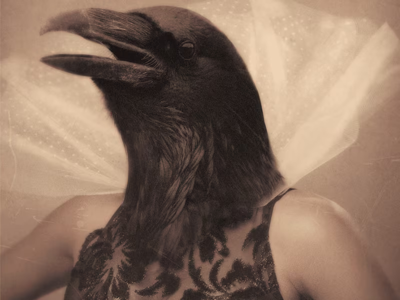 Cover image for RYAN GILDEN DESIGN