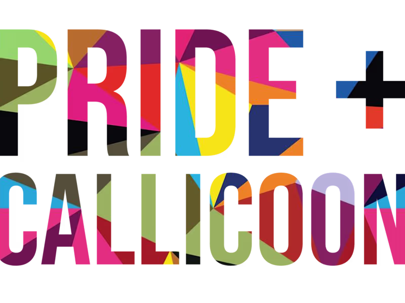 Cover image for Catskills Pride Festival 