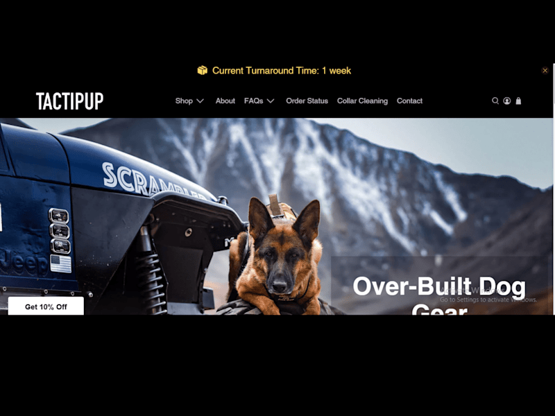 Cover image for SHOPIFY WEBSITE DEVELOPMENT FOR SHOPIFY STORE