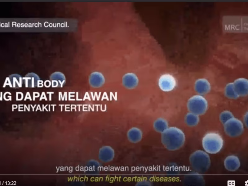 Cover image for 1.illustration animation for PINPOL.mp4