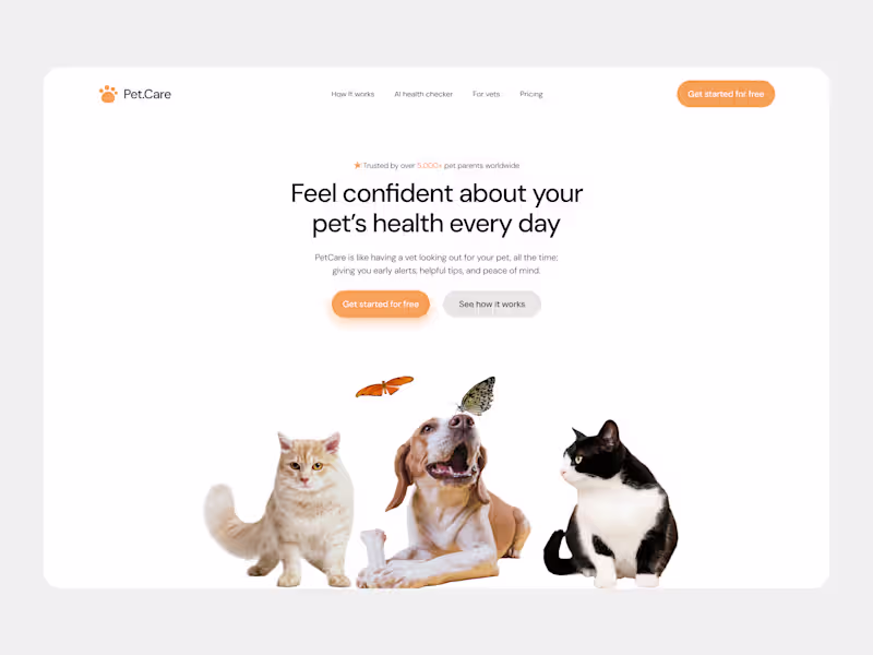 Cover image for Professional Website Design