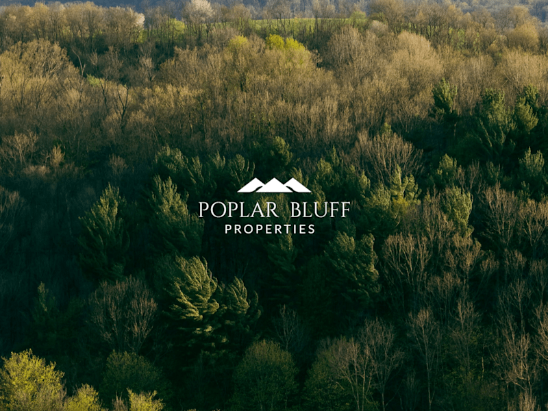 Cover image for Brand & Website Design : Poplar Bluff Properties