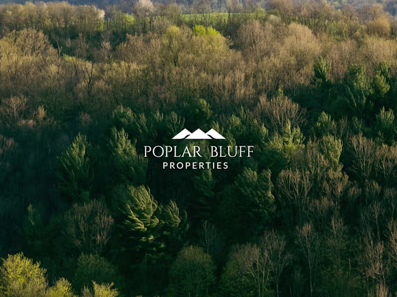 Cover image for Brand & Website Design : Poplar Bluff Properties