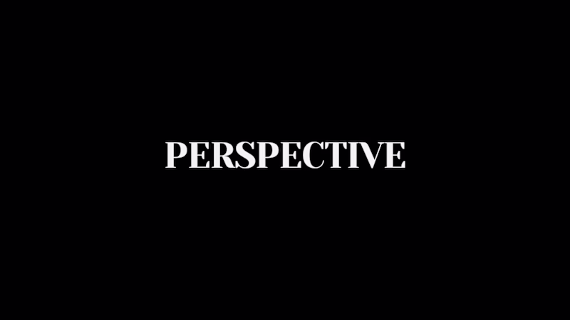 Cover image for Perspective Magazine