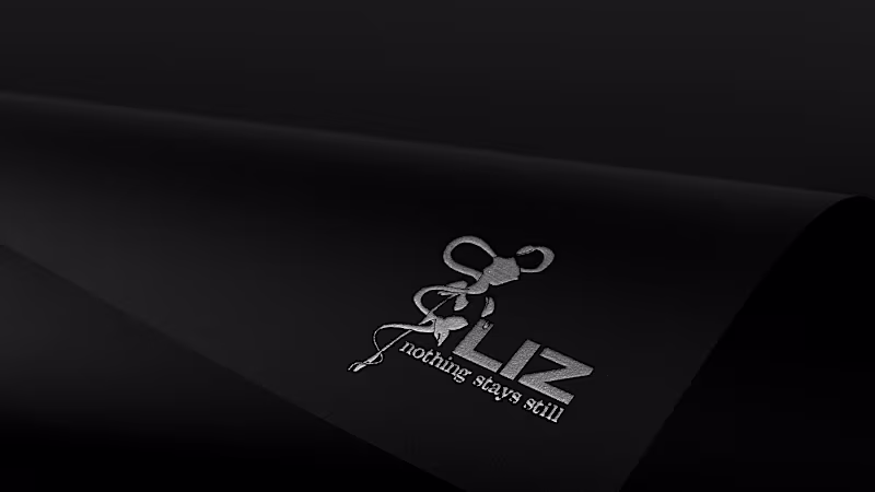 Cover image for LIZ - "Nothing stays still" : Behance