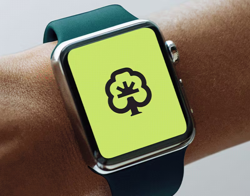 Cover image for BodhAI - Brand and Visual Identity