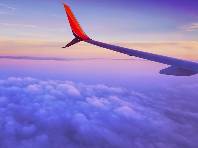 Cover image for Flightline / Brand Identity