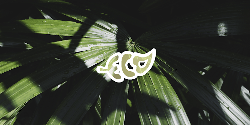 Cover image for Brand Identity | Eco Aura Cosmetics  