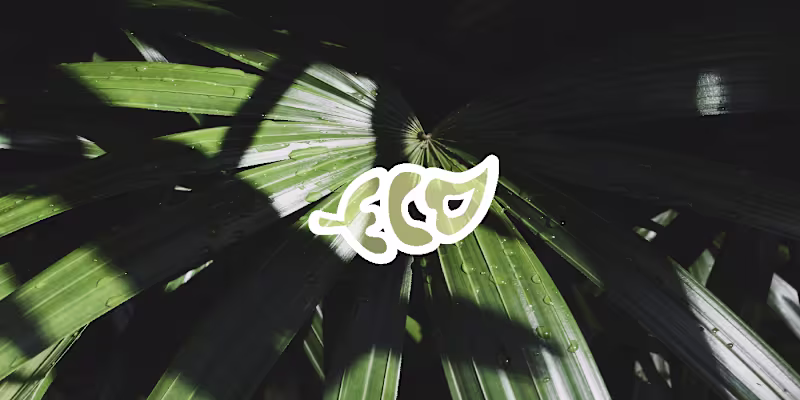 Cover image for Brand Identity | Eco Aura Cosmetics  