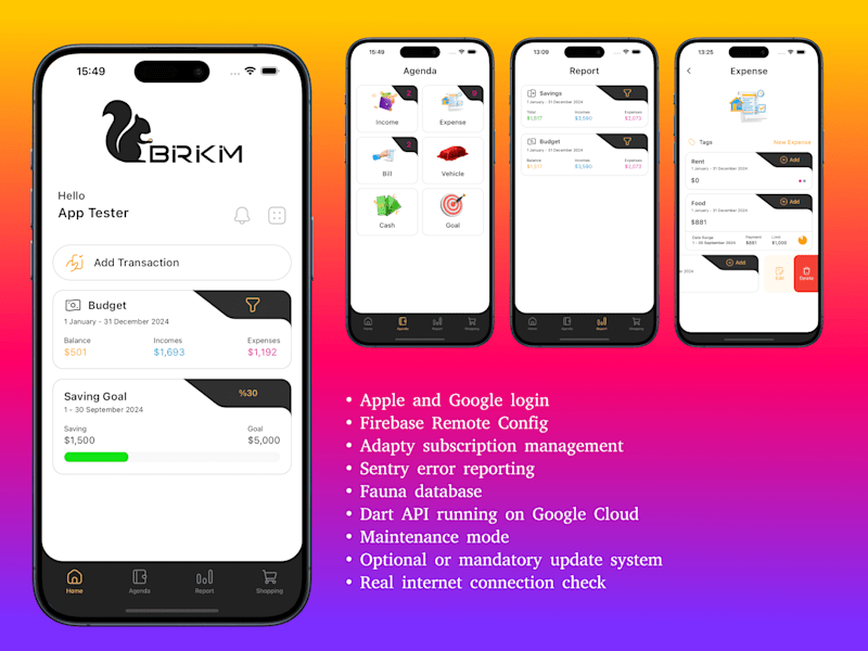 Cover image for Birikim