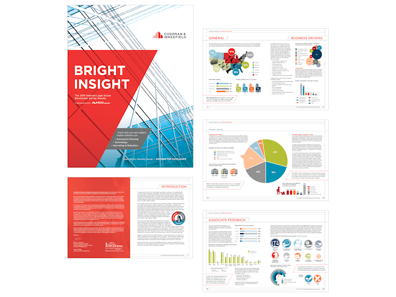 Cover image for A Bright Insight Into Real Estate Data