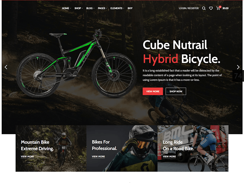 Cover image for Bicycle Website Design & Development