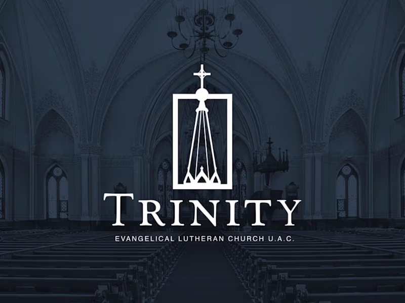 Cover image for Trinity - Brand Identity and Website Design