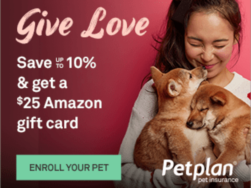Cover image for Give Love Campaign