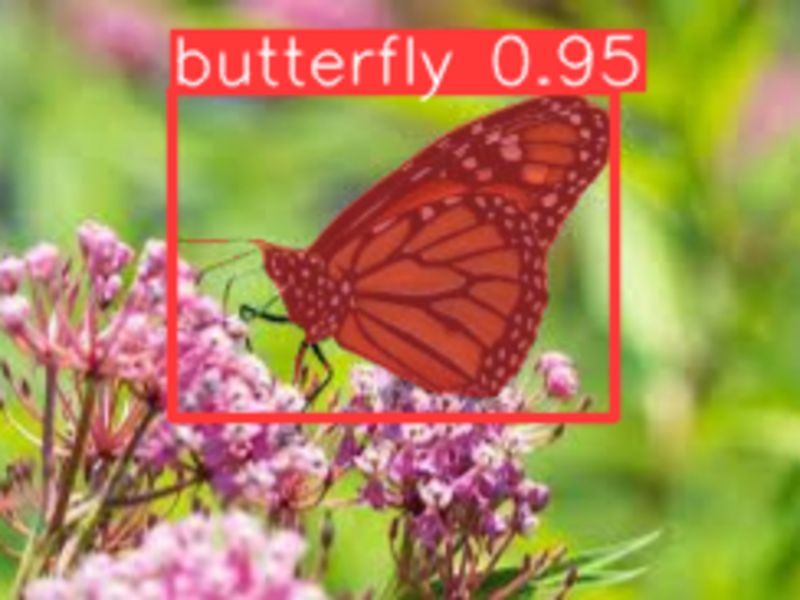 Cover image for Instance Segmentation