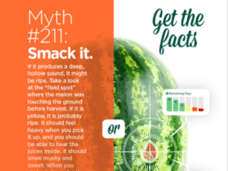 Cover image for Picked: Get the Facts 
Brand Development & Launch Campaign