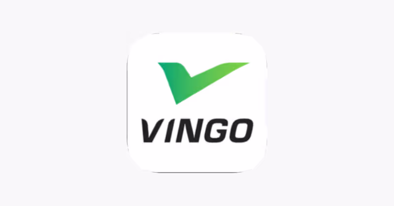 Cover image for Vingo 