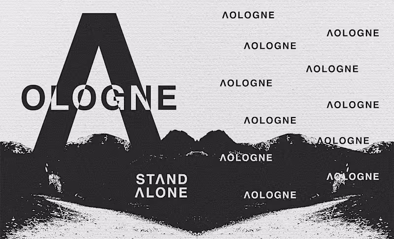 Cover image for Brand Development and Apparel Design for Aologne