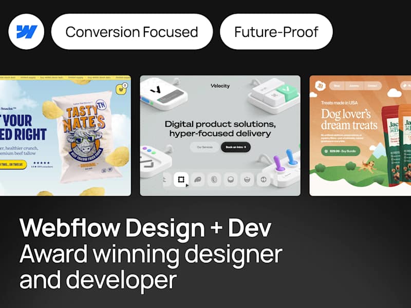 Cover image for Website Design & Website Development in Webflow