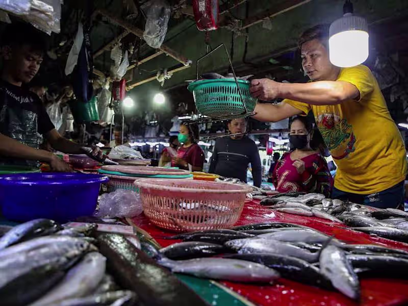 Cover image for Philippine News Roundup: Job Fairs, Gaming Regulations, and Mark