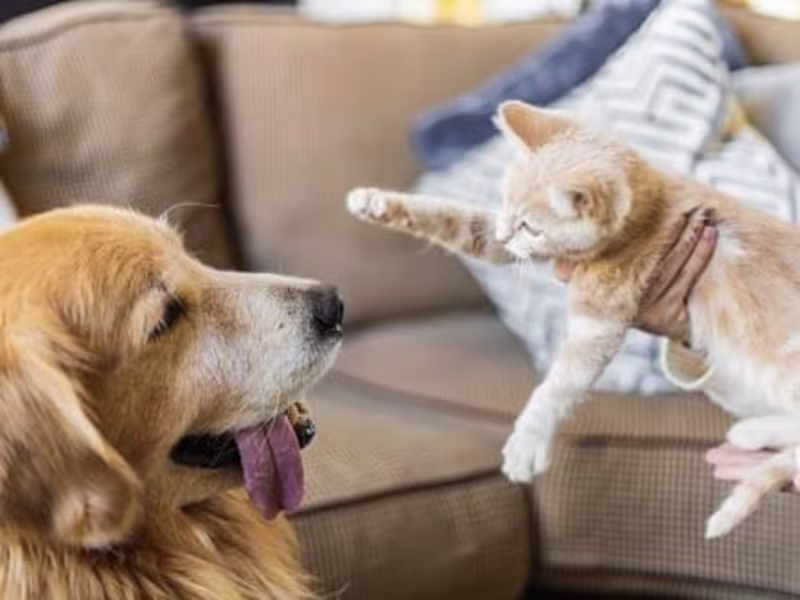 Cover image for Copywriting for a weekly email newsletter