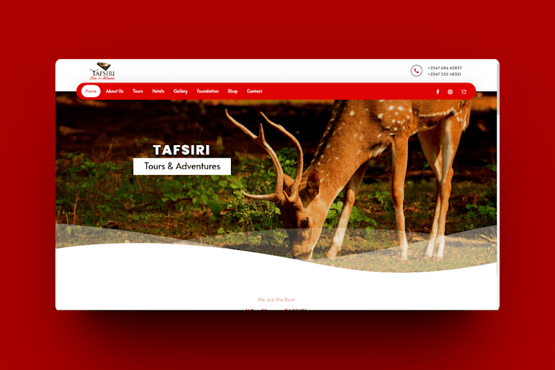 Cover image for Tours & Travel Company Website