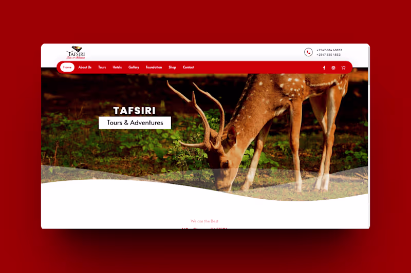 Cover image for Tours & Travel Company Website