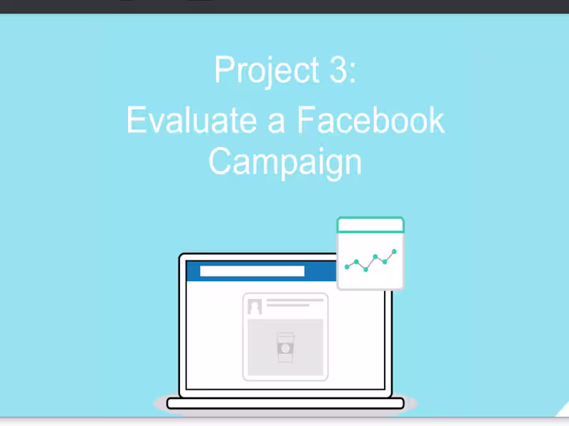 Cover image for Project_ Facebook Ads three.pdf