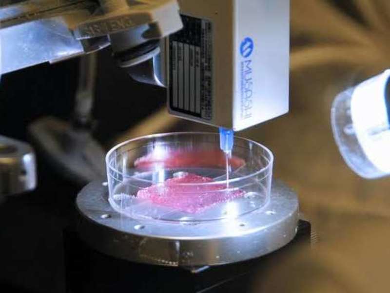 Cover image for Bio printing 