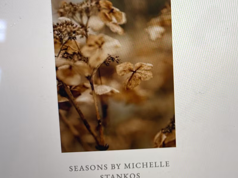 Cover image for Search Results for “michelle stankos” – Calla Press